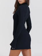 Long Sleeve Turtleneck Cocktail Mini Dress