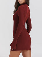 Long Sleeve Turtleneck Cocktail Mini Dress